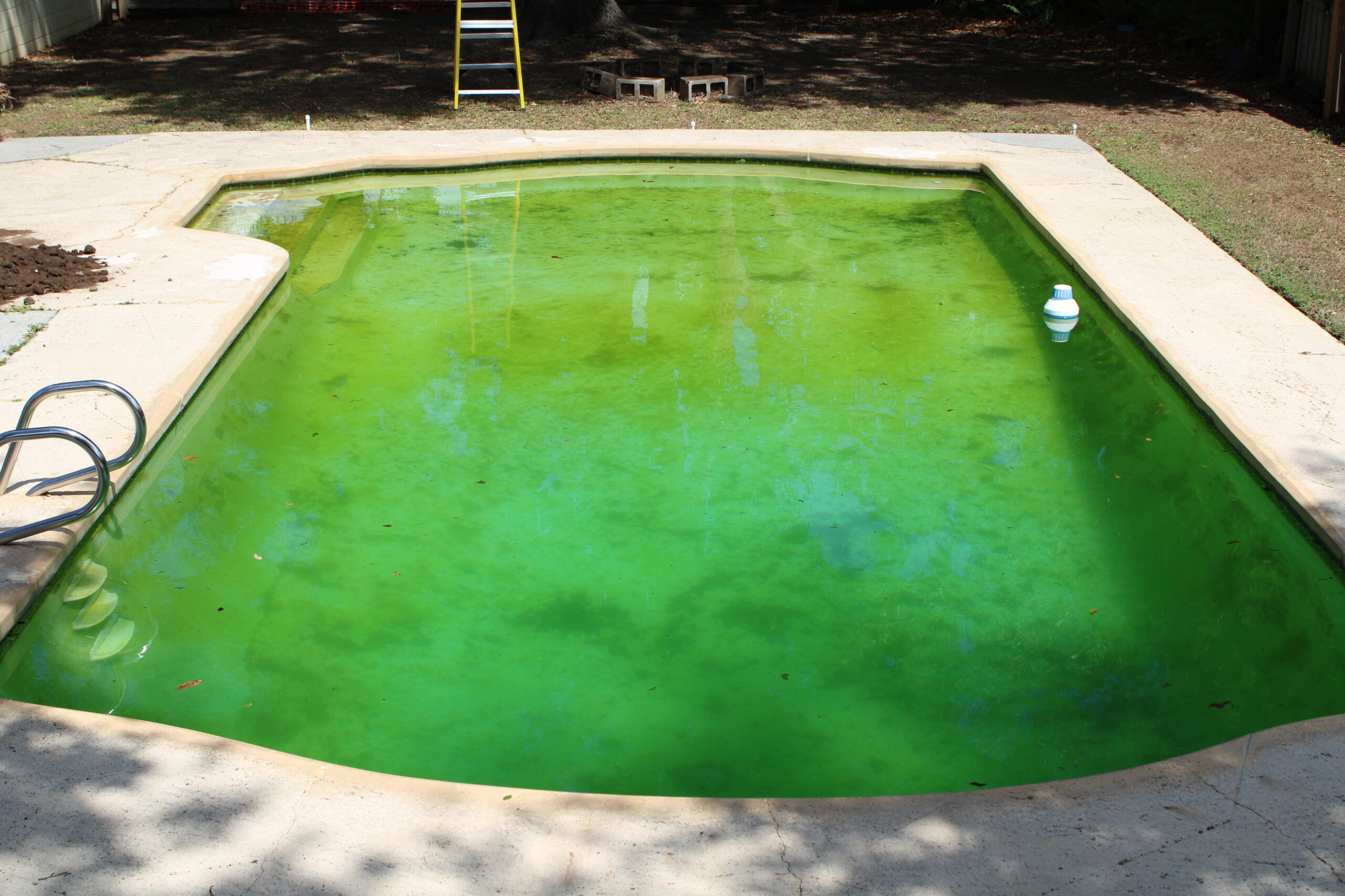 Projects Splash City Pools