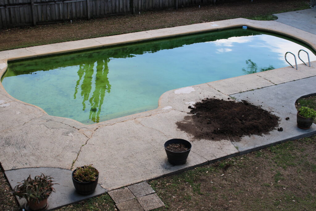 Our Pool Projects in Tampa Splash City Pools