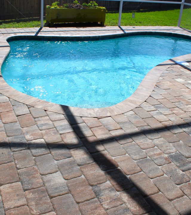 Premier Custom Pool Builder In Tampa Bay 